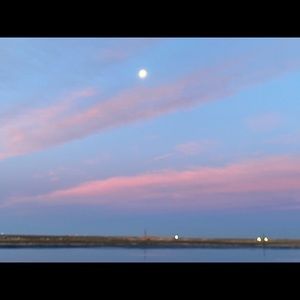 Meet your Posher, Hector